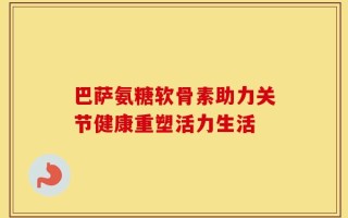 巴萨氨糖软骨素助力关节健康重塑活力生活