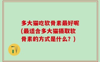 多大猫吃软骨素最好呢(最适合多大猫摄取软骨素的方式是什么？)