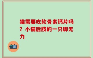 猫需要吃软骨素钙片吗？小猫后肢的一只脚无力