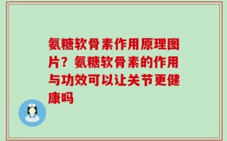 氨糖软骨素作用原理图片？氨糖软骨素的作用与功效可以让关节更健康吗