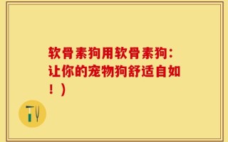 软骨素狗用软骨素狗：让你的宠物狗舒适自如！)
