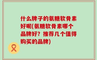 什么牌子的氨糖软骨素好呢(氨糖软骨素哪个品牌好？推荐几个值得购买的品牌)