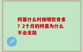 柯基什么时候喂软骨素？2个月的柯基为什么不会走路