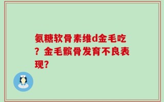 氨糖软骨素维d金毛吃？金毛髌骨发育不良表现？
