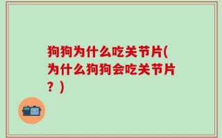 狗狗为什么吃关节片(为什么狗狗会吃关节片？)