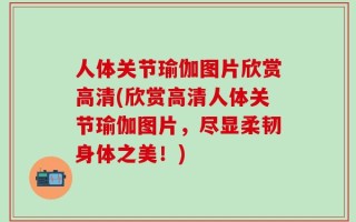 人体关节瑜伽图片欣赏高清(欣赏高清人体关节瑜伽图片，尽显柔韧身体之美！)