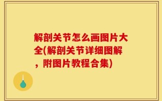 解剖关节怎么画图片大全(解剖关节详细图解，附图片教程合集)