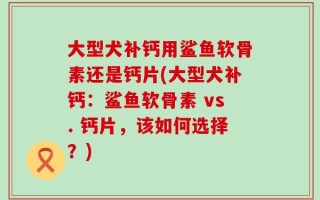 大型犬补钙用鲨鱼软骨素还是钙片(大型犬补钙：鲨鱼软骨素 vs. 钙片，该如何选择？)
