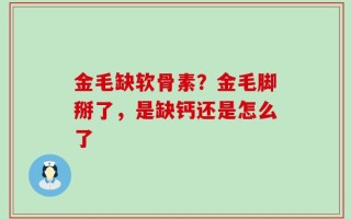 金毛缺软骨素？金毛脚掰了，是缺钙还是怎么了