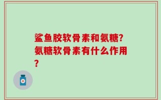 鲨鱼胶软骨素和氨糖？氨糖软骨素有什么作用？