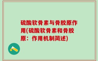 硫酸软骨素与骨胶原作用(硫酸软骨素和骨胶原：作用机制简述)
