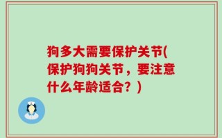 狗多大需要保护关节(保护狗狗关节，要注意什么年龄适合？)
