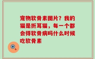 宠物软骨素图片？我的猫是折耳猫，每一个都会得软骨病吗什么时候吃软骨素