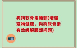 狗狗软骨素腰部(增强宠物健康，狗狗软骨素有效缓解腰部问题)