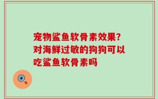 宠物鲨鱼软骨素效果？对海鲜过敏的狗狗可以吃鲨鱼软骨素吗