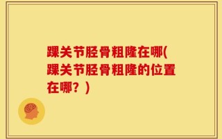 踝关节胫骨粗隆在哪(踝关节胫骨粗隆的位置在哪？)