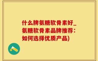 什么牌氨糖软骨素好_氨糖软骨素品牌推荐：如何选择优质产品)