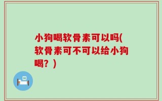小狗喝软骨素可以吗(软骨素可不可以给小狗喝？)