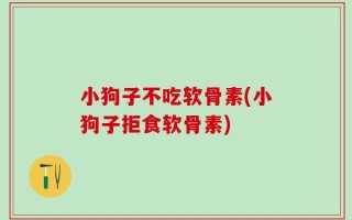 小狗子不吃软骨素(小狗子拒食软骨素)