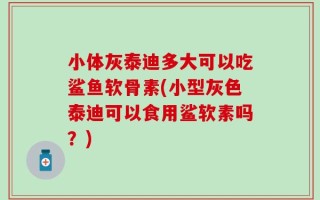 小体灰泰迪多大可以吃鲨鱼软骨素(小型灰色泰迪可以食用鲨软素吗？)
