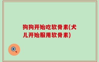 狗狗开始吃软骨素(犬儿开始服用软骨素)
