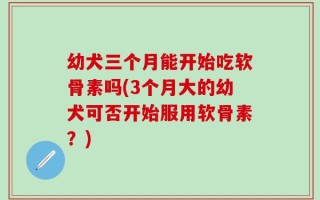 幼犬三个月能开始吃软骨素吗(3个月大的幼犬可否开始服用软骨素？)