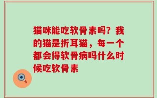 猫咪能吃软骨素吗？我的猫是折耳猫，每一个都会得软骨病吗什么时候吃软骨素