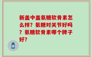 新盖中盖氨糖软骨素怎么样？氨糖对关节好吗？氨糖软骨素哪个牌子好？