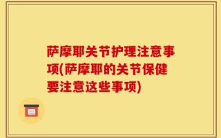 萨摩耶关节护理注意事项(萨摩耶的关节保健要注意这些事项)