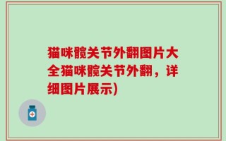 猫咪髋关节外翻图片大全猫咪髋关节外翻，详细图片展示)