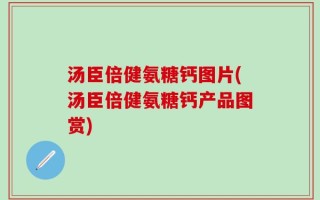 汤臣倍健氨糖钙图片(汤臣倍健氨糖钙产品图赏)