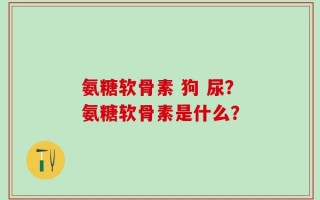 氨糖软骨素 狗 尿？氨糖软骨素是什么？
