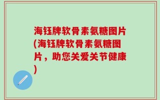 海钰牌软骨素氨糖图片(海钰牌软骨素氨糖图片，助您关爱关节健康)