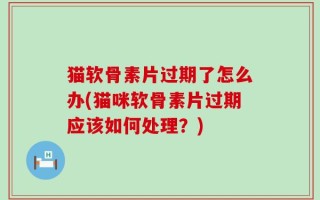 猫软骨素片过期了怎么办(猫咪软骨素片过期应该如何处理？)