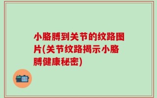 小胳膊到关节的纹路图片(关节纹路揭示小胳膊健康秘密)