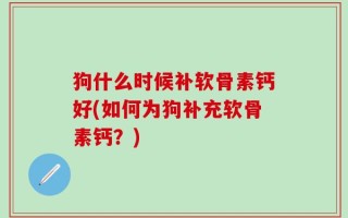 狗什么时候补软骨素钙好(如何为狗补充软骨素钙？)