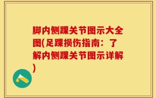 脚内侧踝关节图示大全图(足踝损伤指南：了解内侧踝关节图示详解)