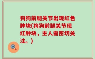 狗狗前腿关节出现红色肿块(狗狗前腿关节现红肿块，主人需密切关注。)