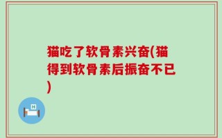 猫吃了软骨素兴奋(猫得到软骨素后振奋不已)