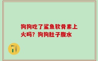 狗狗吃了鲨鱼软骨素上火吗？狗狗肚子腹水