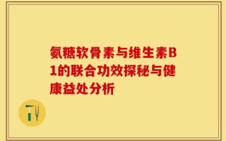 氨糖软骨素与维生素B1的联合功效探秘与健康益处分析