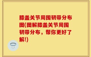 膝盖关节周围韧带分布图(图解膝盖关节周围韧带分布，帮你更好了解!)