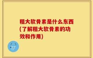 粗大软骨素是什么东西(了解粗大软骨素的功效和作用)