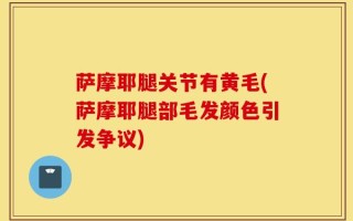 萨摩耶腿关节有黄毛(萨摩耶腿部毛发颜色引发争议)