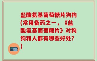 盐酸氨基葡萄糖片狗狗(常用备药之一，《盐酸氨基葡萄糖片》对狗狗和人都有哪些好处？)