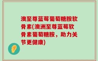 澳至尊蓝莓葡萄糖胺软骨素(澳洲至尊蓝莓软骨素葡萄糖胺，助力关节更健康)
