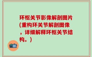 环枢关节影像解剖图片(重构环关节解剖图像，详细解释环枢关节结构。)