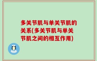 多关节肌与单关节肌的关系(多关节肌与单关节肌之间的相互作用)