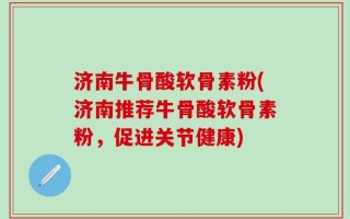济南牛骨酸软骨素粉(济南推荐牛骨酸软骨素粉，促进关节健康)
