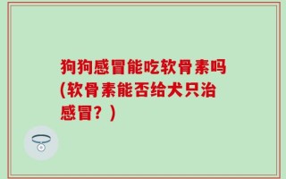 狗狗感冒能吃软骨素吗(软骨素能否给犬只治感冒？)